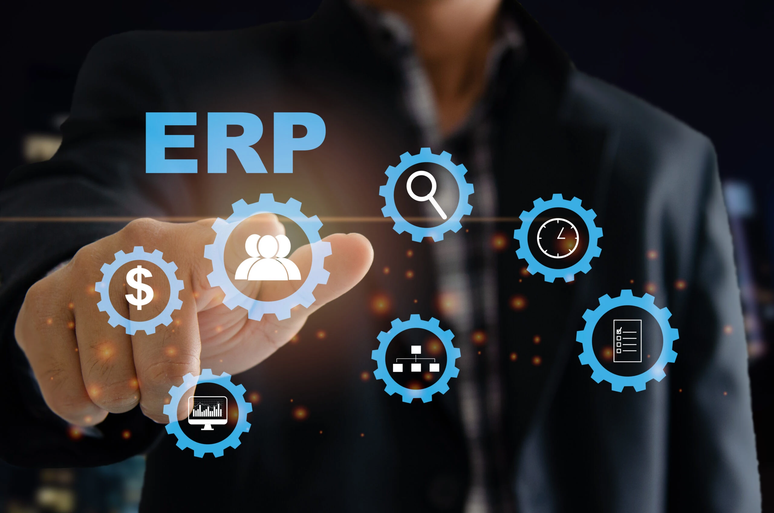 ERP Software Development services